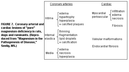 Cardio Figure 7